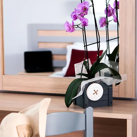 Hera Zakynthos Hotel Laganas